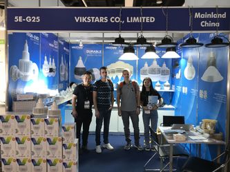 Vikstars Co., Limited Produktionslinie des Herstellers