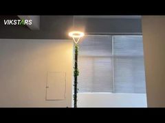 Neueste LED-Gartenleuchten 100W 3000K 4000K 6500K